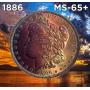 Friday Great Morgans, Ancients, World, Cents, Eagles & More