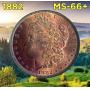 Sunday Rare Morgans, World, Gold, Cents, Eagles, Ancients