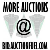 More Auctions