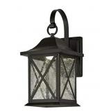 Open-8' Dark Sky LED Outdoor Wall Light-allen+roth