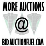 More Auctions