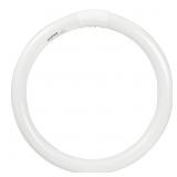 Sylvania 32Watt 12 Circline Tube T9 Fluoresce Sylvania 32Watt 12 Circline Tube T9 Fluoresce