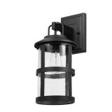 Penelope Matte Black Modern Indoor/Outdoor 1-Light