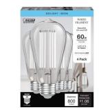 60-Watt Equivalent ST19 Dimmable White Filament Cl