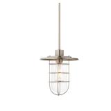 Home Decorators Collection 1-Light Brushed Nickel