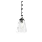 Roycroft 7in 1-Lt Blk Farmhouse Shaded Pendant