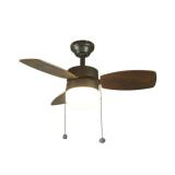 Triplicity 30 in. Indoor LED Matte Black Ceiling F