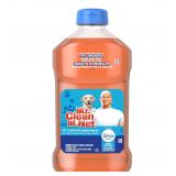 Mr. Clean Multi-Purpose Pet Cleaner