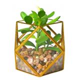 Opalhouse Faux Succulent Plant w Brass Terrarium