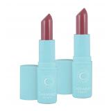 Carmindy Beauty Perfect Rose Lipstick 2Pk