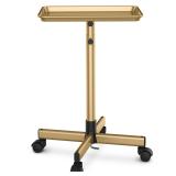 TASALON Salon Tray on Wheels 18x13in