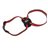 Coastal - Size Right - Mesh Dog Harness, Red,...