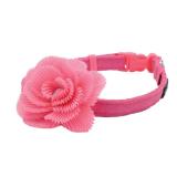 Coastal Lil Pals Dog Collar Pink 38 x 6-8