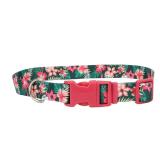 Coastal Dog Collar 38 x 8-12