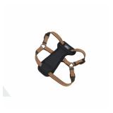 Coastal K9 Explorer Dog Harness Small