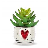DEMDACO Mini Succulent Red Heart 2x1.5