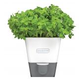 Cole  Mason Self-Water Herb Keeper