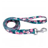Coastal Styles Dog Leash 38 x 6