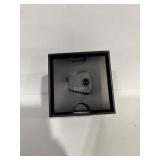Finis Smart Goggle Display