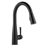 DELTA Essa Single Hole Kitchen Faucet