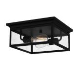 -Light Matte Black Outdoor Ceiling Light