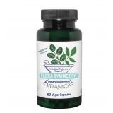 Vitanica Flora Symmetry Probiotic 60 Caps
