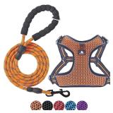 BAAPET XL Orange Dog Harness Set 24-28