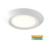 SELZALOT 10in. LED Flush Mount Light