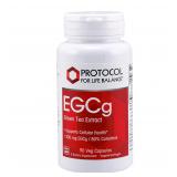 PROTOCOL EGCg Green Tea Ext. 200mg 90 Ct