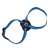 Coastal Blue Dog Harness 12-18
