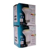 EcoSmart Alexa Smart BR30 Bulb 2-Pack