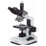AmScope T490B Compound Microscope