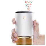 airnasa 100ml Essential Oil Diffuser