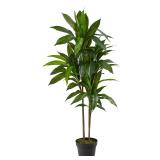 Nearly Natural 48in Artificial Dracaena