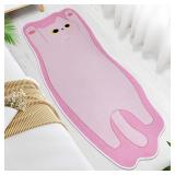 NIGOWAYS Cat Doormat 20x47