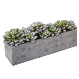 Nearly Natural Succulent Garden 13.5L