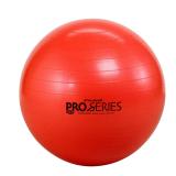 THERABAND Exercise Ball 55cm
