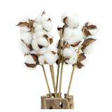 SuperMoss 14.5 Dried Cotton Stems