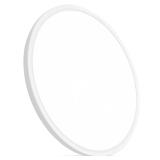 OFFIY 24 Inch LED Ceiling Light