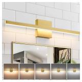 Epinl 24 inch Vanity Light