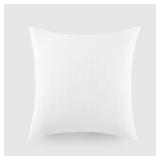 Groupon Pillow Insert 21x21