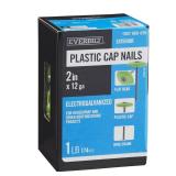 Everbilt 2 in. Cap Roofing Nails