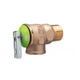 Zurn Relief Valve 30 psi