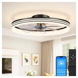 VOLISUN 24in Low Profile Ceiling Fan