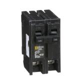 Schneider 125A 2-Pole Circuit Breaker