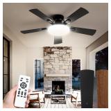 LEDIARY 42 Inch Black Ceiling Fan wLights