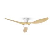 TALOYA 52in Ceiling Fan wLights