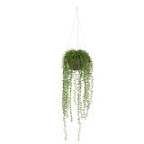 Nearly Natural String of Pearl Plant 21H