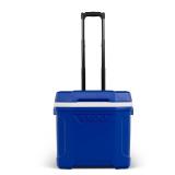 Igloo 30qt Cooler