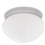 DESIGNERS FOUNTAIN 9in Ceiling Light